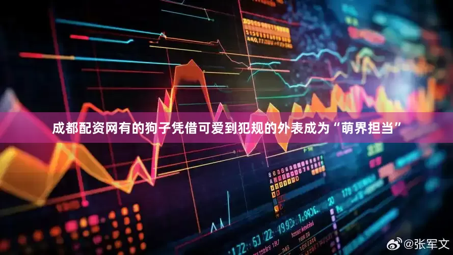 成都配资网有的狗子凭借可爱到犯规的外表成为“萌界担当”