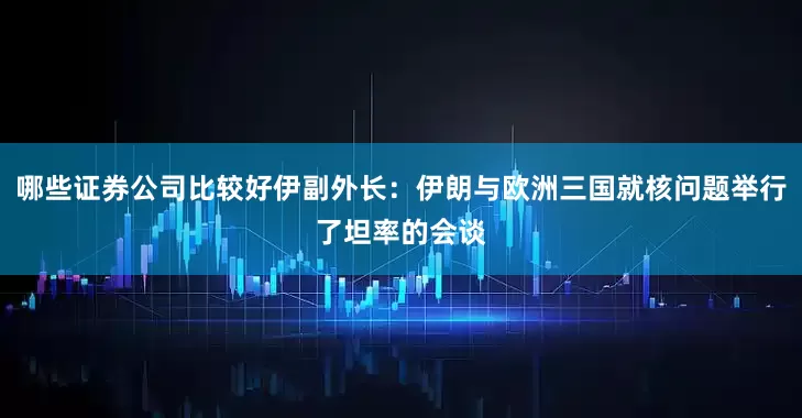 哪些证券公司比较好伊副外长：伊朗与欧洲三国就核问题举行了坦率的会谈